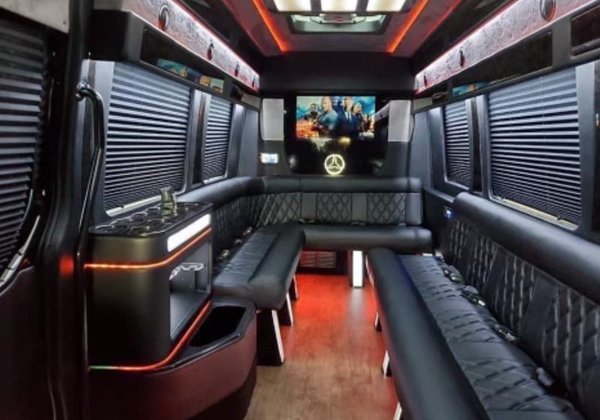 Mercedes Sprinter Limo 4